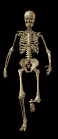 W84U