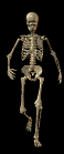 W84U